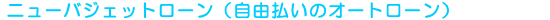 �j���[�o�W�F�b�g���[���i���R�����̃I�[�g���[���j