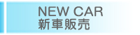 NEW CAR �V�Ԕ̔�